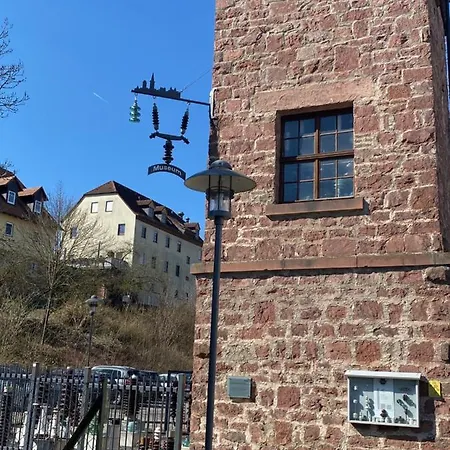 Ferienwohnung Zum Spessart 아파트 Lohr