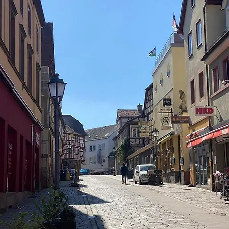 Ferienwohnung Zum Spessart 아파트 Lohr